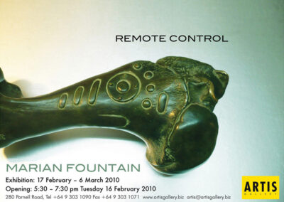 2010 REMOTE CONTROL